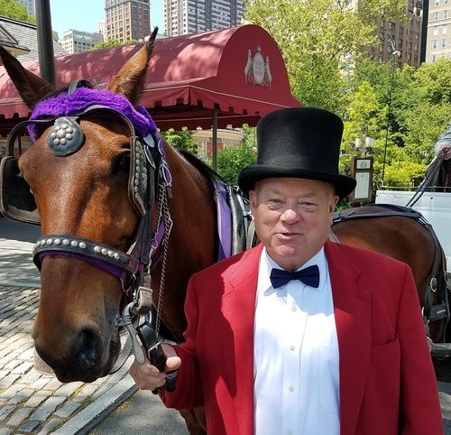 Reveling in Tranquility: The Magic of Central Park Carriage Tours