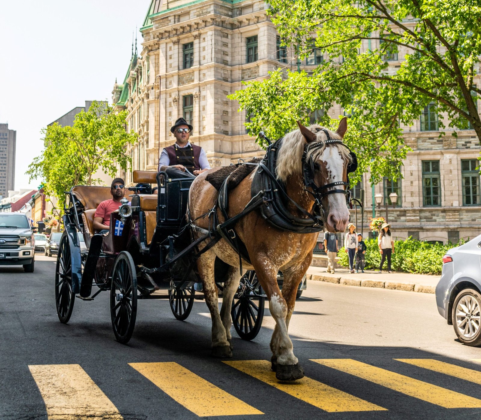 Unveiling the Finest Horse and Carriage Tours in Central Park, NYC