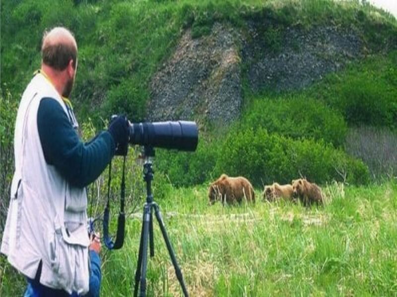 Venture Into Alaska’s Wilderness Through a Photographer’s Lens