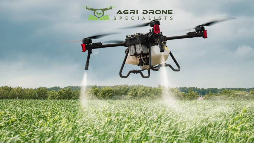Drone Crop Spraying Services