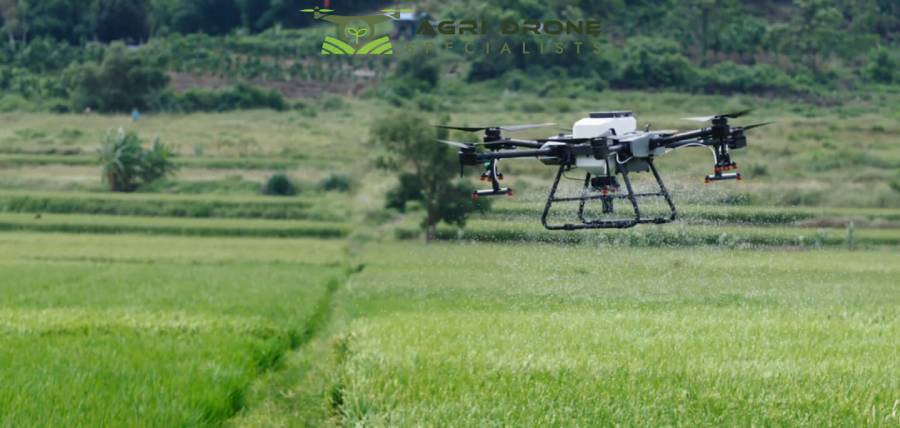 Aerial Spraying