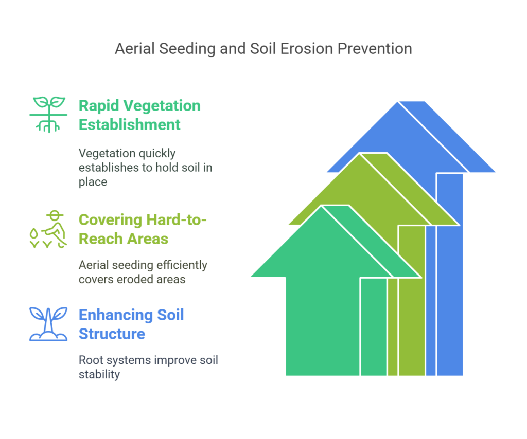 How Does Aerial Seeding Prevent Soil Erosion